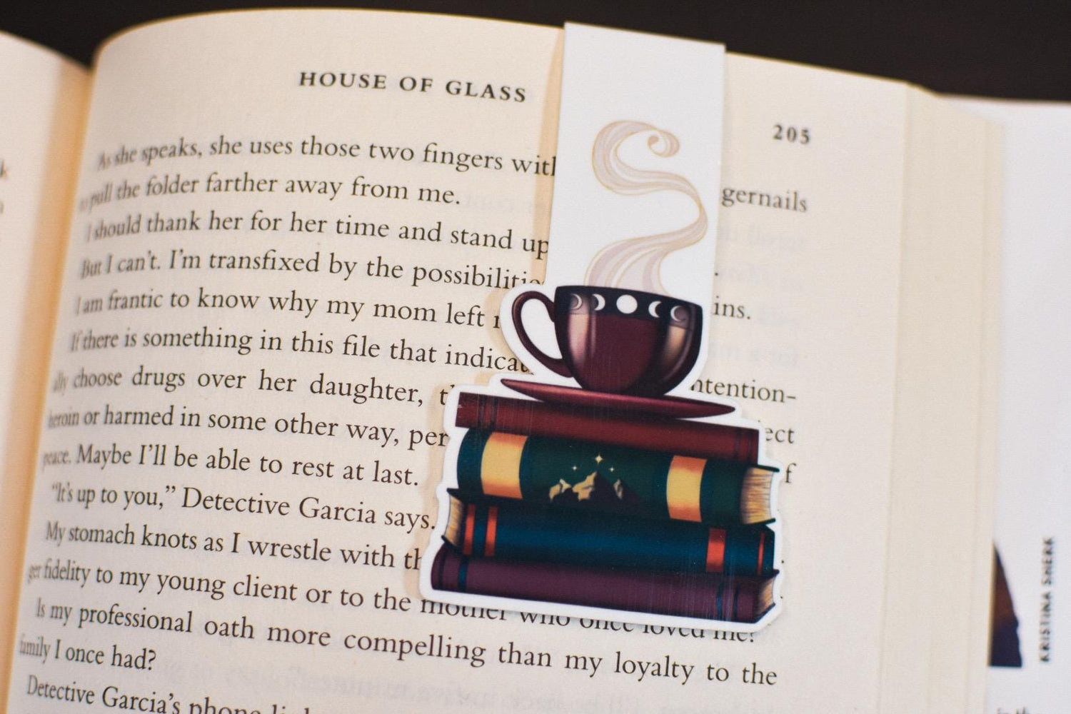 Magnetic Bookmarks